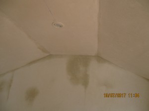 003 Purves Blairgowrie Office Upgrade 10 July 2017